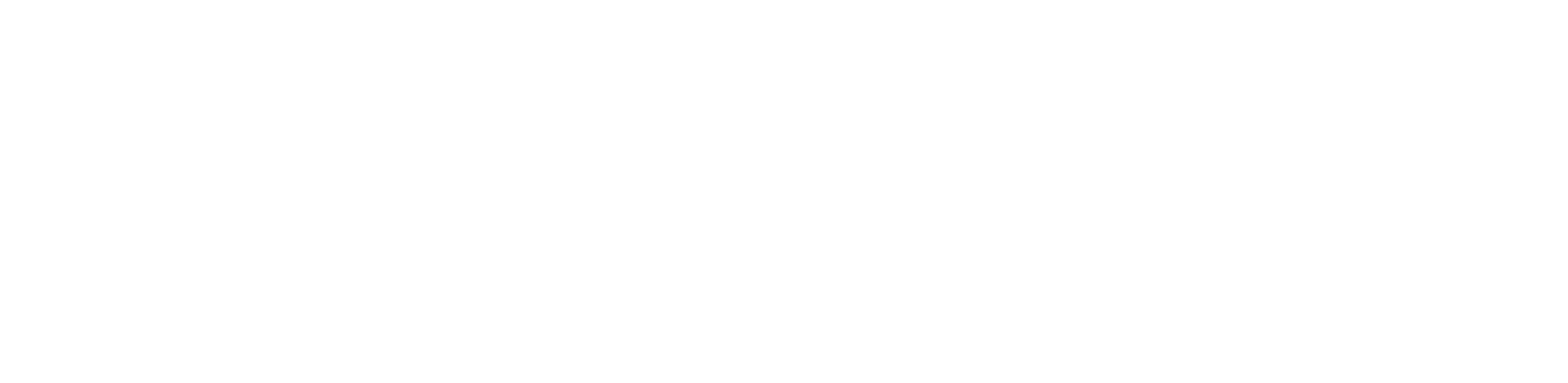 ZenML Icon